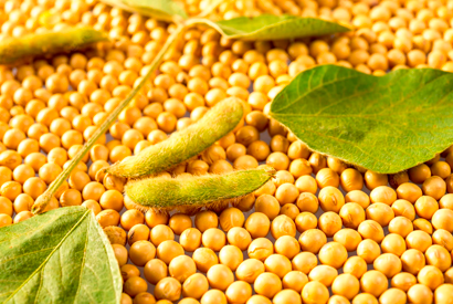 Agroseeds